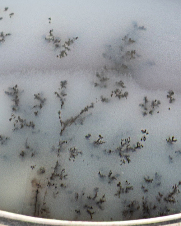 White-Grey Wood Patterned Oval Agate Stone Necklace and Ring Set - 2101 3133